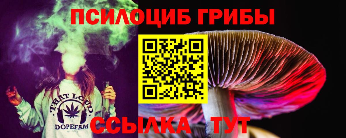 ГАШ Клин